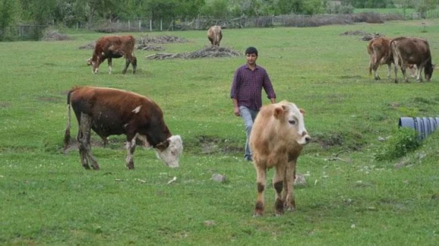 Tarımda zorlu koşullar yeni yılı şekillendiriyor, beklentiyi artırıyor! Risk ve fırsat yan yana