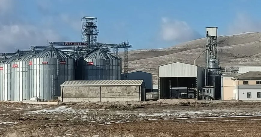 TMO'yu 500 milyon lira dolandırıp yurt dışına kaçtı. 9 şüpheli gözaltında