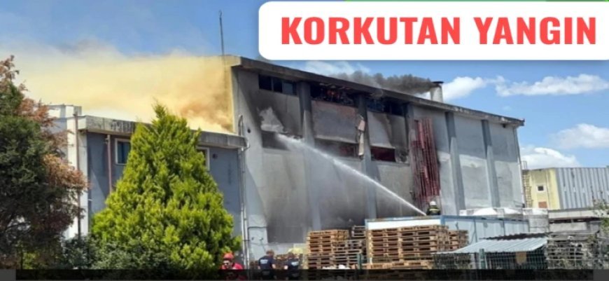 Avrupa Serbest Bölgesi’nde Fabrika Yangını: Maddi Hasar Büyük