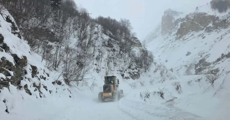 Artvin'de çığ düştü. Üç çobandan birinin cansız bedeni bulundu