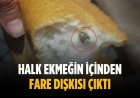 Halk ekmeğin içinden fare dışkısı çıktı