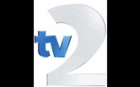 Yeni yıla yeni logosuyla girdi
