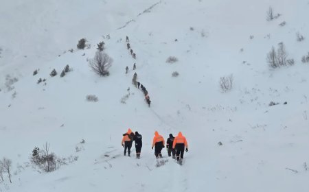 Artvin'de çığ felaketi. Bir çoban öldü, iki çobanı arama çalışmaları sürüyor