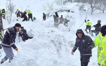 Van'da çığ düştü. Arama çalışmalarından görüntüler