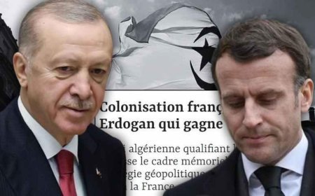 Fransız dergisinden Cezayir itirafı: Erdoğan kazandı!