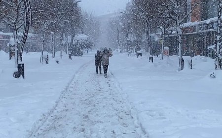 Türkiye'nin en soğuk ili Bolu oldu. Termometreler eksi 21,3 dereceyi gösterdi