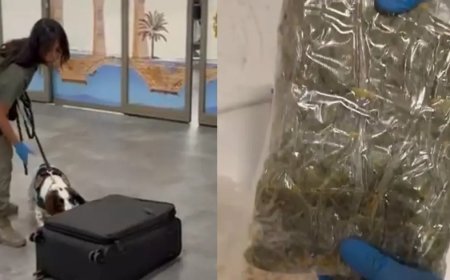 Yolcunun valizinden uyuşturucu çıktı. Mısır gevrekleri kutularına gizlemiş