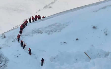 Çığ felaketinde üçüncü gün. Kayıp çoban aranıyor