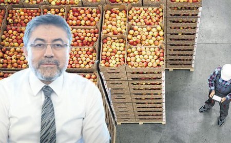 Tarımda organize atak