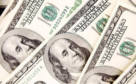 Dolar endeksi 2017'den bu yana en hızlı düşüşünü kaydetti