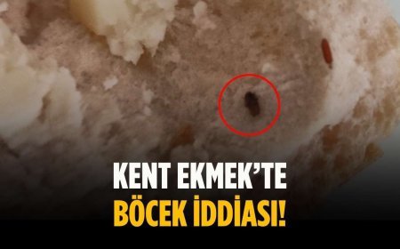 Kent Ekmek’te böcek iddiası!