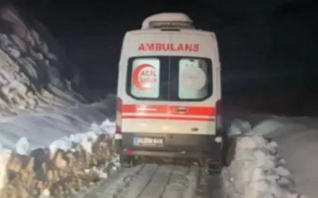 Hakkari'de sobadan sızan gaz aileyi hastanelik etti