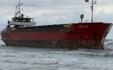Tekirdağ'da yük gemisi karaya oturdu