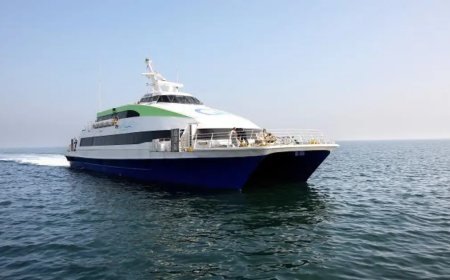 BUDO'nun çok sayıda seferi iptal edildi