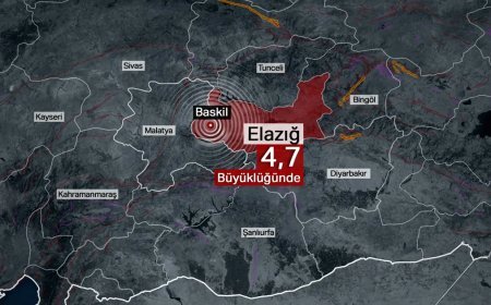 Dört şehri sallayan 4,7'lik deprem ne anlama geliyor? Naci Görür'den açıklama
