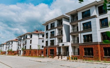 500 bin sosyal konutta kura heyecanı sürüyor! Sıradaki 14 il belli oldu