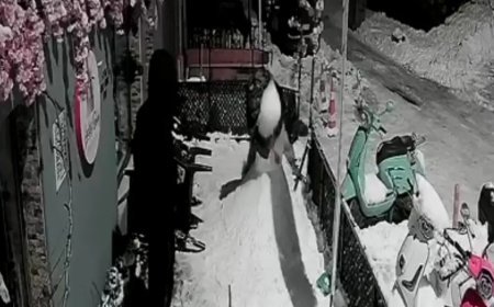 Kardan adamı dövdüler. "Bana çarptı" deyince arkadaşı tekme tokat parçaladı