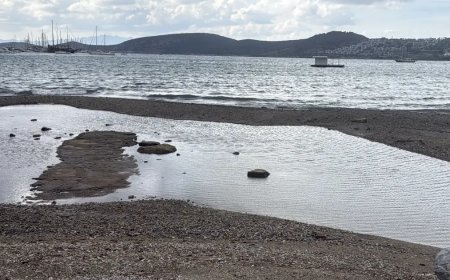 Bodrum sahilinde korkutan görüntü