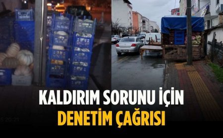 Kaldırım sorunu için denetim çağrısı