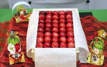 Yılın ilk kirazı tanesi 7 bin TL