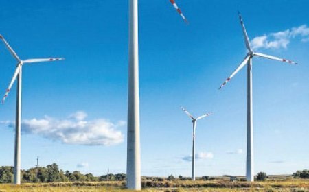 Elektrikte rekor rüzgârdan geldi