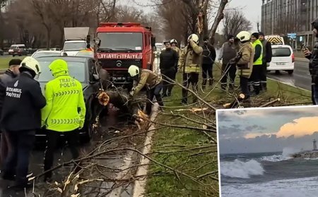Fırtına başladı, İstanbul'da rüzgar uçuruyor! Ağaçlar devrildi, dev dalgalar sahilleri dövüyor