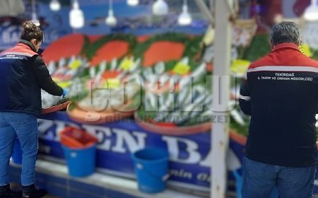 Tekirdağ'da su ürünlerine sıkı denetim