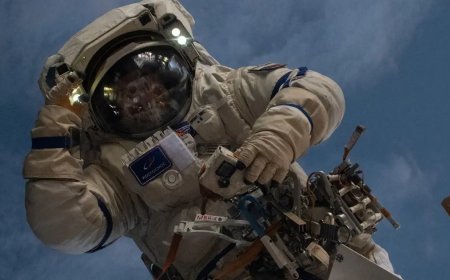 Astronot hastalandı, uzay görevi yarım kaldı