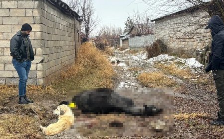 Erzincan'da at ve eşek tüfekle katledildi