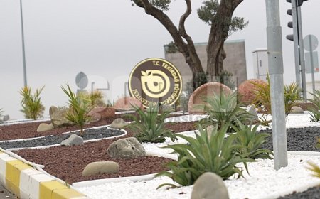 TEKİRDAĞ’IN CADDE VE KAVŞAKLARINA İKLİM DOSTU DOKUNUŞ