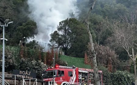Beşiktaş'ta yangın paniği. Ünlü restoranın müştemilatında yangın