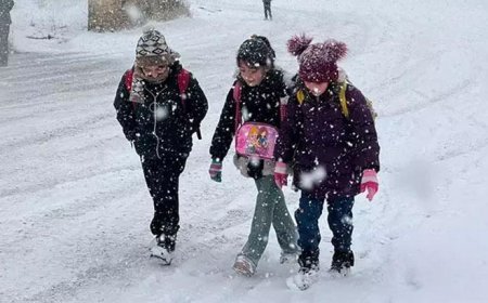 Ordu'da eğitime kar engeli! Valilik duyurdu