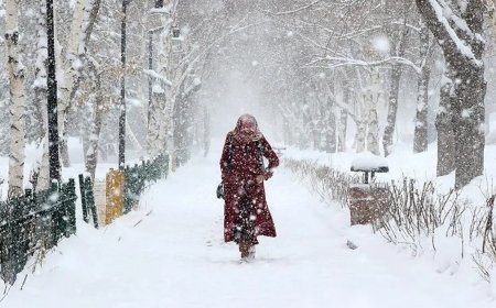 Yağmurla başlayıp 5 gün sürecek. Kar İstanbul'a geri dönüyor