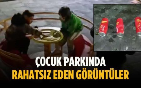 Çocuk parkında rahatsız eden görüntüler