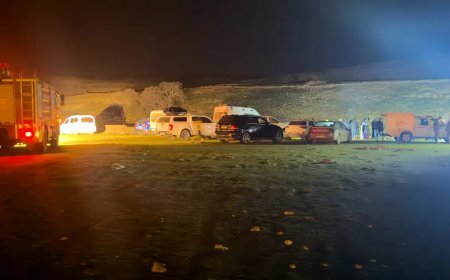 Mardin'de iki çocuk gölette ölü bulundu