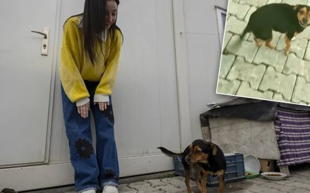 Bu video 30 milyon izlendi. "Hanimiş benim tontişim" ile tanınıyor. "Herkes Boncuk'u görmek için ulaşıyor"