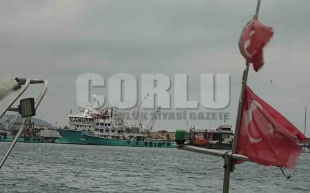 Türkiye’yi terk eden hamsinin yolu gözleniyor
