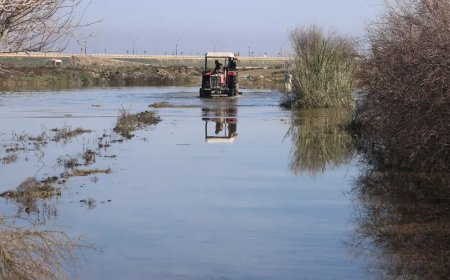 Son 65 yılın en kurak yılını yaşamışlardı. Şimdi de aşırı yağış vurdu "Tarlalarımız su içinde kaldı"