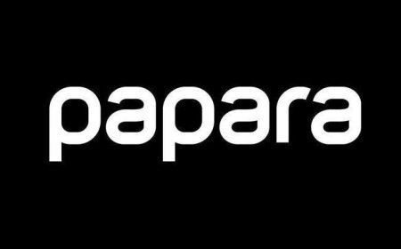 Papara'nın faaliyet izninin iptaline ilişkin karar kaldırıldı