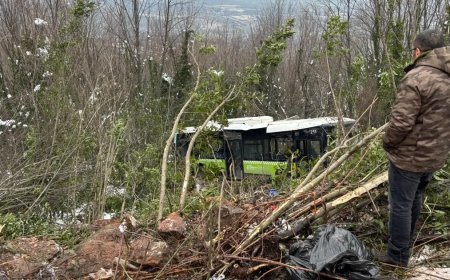 Belediye otobüsü şarampole yuvarlandı. Çok sayıda yaralı var