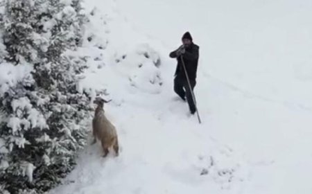 Gördüğü anda tüfeğine sarıldı! Çoban ile dron pilotu arasında aksiyon dolu anlar