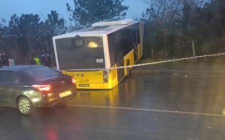 Yer: Arnavutköy! Yolcu dolu İETT otobüsü ormana uçtu