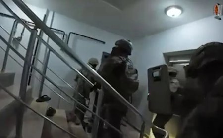 Bayğaralar suç örgütüne operasyon