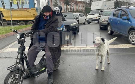 Çarşı pazar peşinden ayrılmıyor