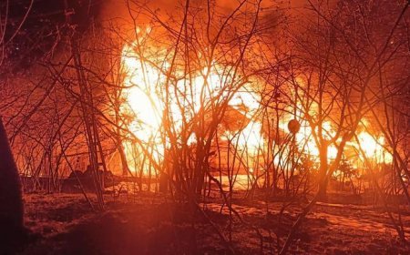 Ordu'da esrarengiz ölüm! Yanan evinin yakınında ağaca asılı halde bulundu
