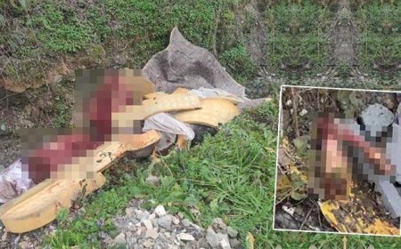 Otoyolda bulunan kemiklerin izi sürüldü, 'pes' dedirten gerçek ortaya çıktı