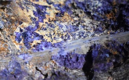 Savunma sanayii, elektrikli araç, rüzgar enerjisi... Gizli hazine: İl il ortaya çıktı