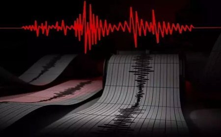 SON DAKİKA | Aydın'da 3.8 büyüklüğünde korkutan deprem! AFAD duyurdu