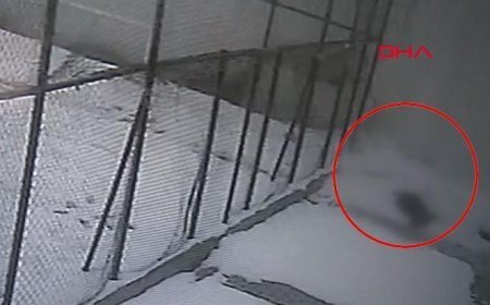 Cam silerken hayatını kaybetti! Öğretmenin düştüğü anlar kamerada