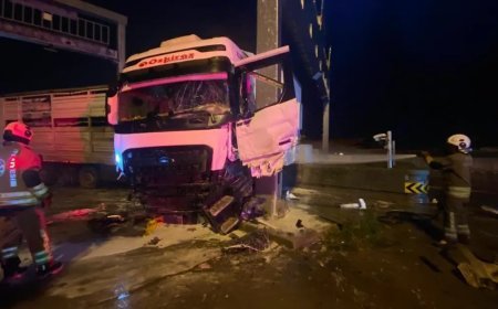 Gişelerde direğe çarpan tır alev aldı